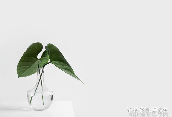 道家思想的哲学诠释_道家哲学最高概念_道家推崇的最高哲学