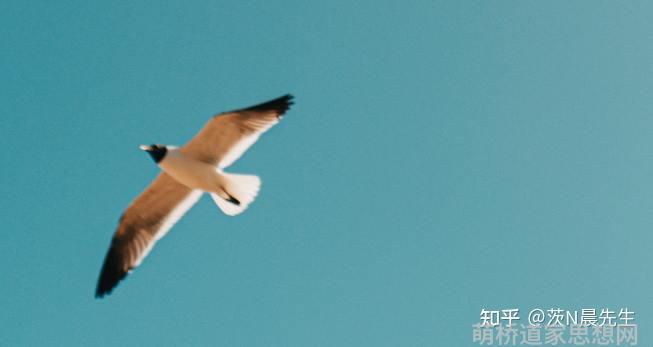 道家哲学最高概念_道家思想的哲学诠释_道家推崇的最高哲学