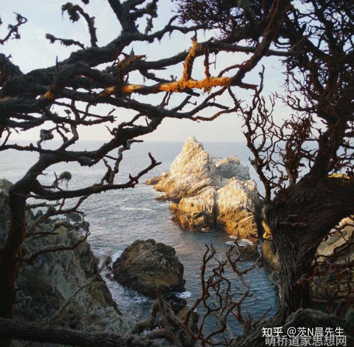 道家思想的哲学诠释_道家哲学最高概念_道家推崇的最高哲学
